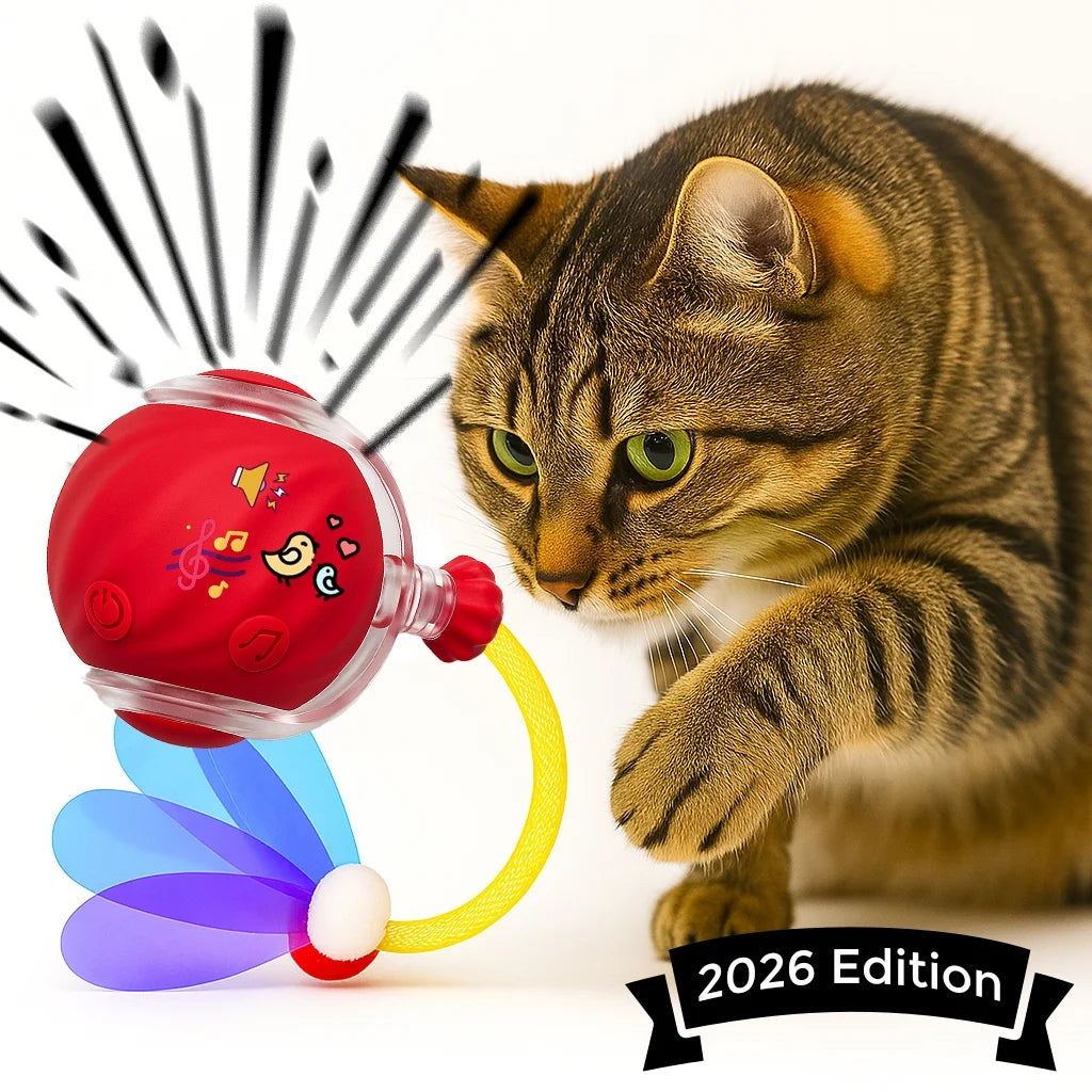 Umadeus Interactive Cat Ball Toy with Tail for Indoor Cats Kittens – 2026 - Automatic Smart Rolling Motion Pet Exercise for Small Dogs | Rechargeable Motion-Activated, USB Charging Self-Play (RED)