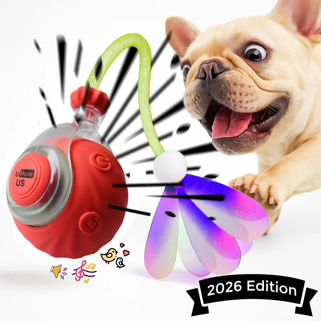 Umadeus Interactive Cat Ball Toy with Tail for Indoor Cats Kittens – 2026 - Automatic Smart Rolling Motion Pet Exercise for Small Dogs | Rechargeable Motion-Activated, USB Charging Self-Play (RED)