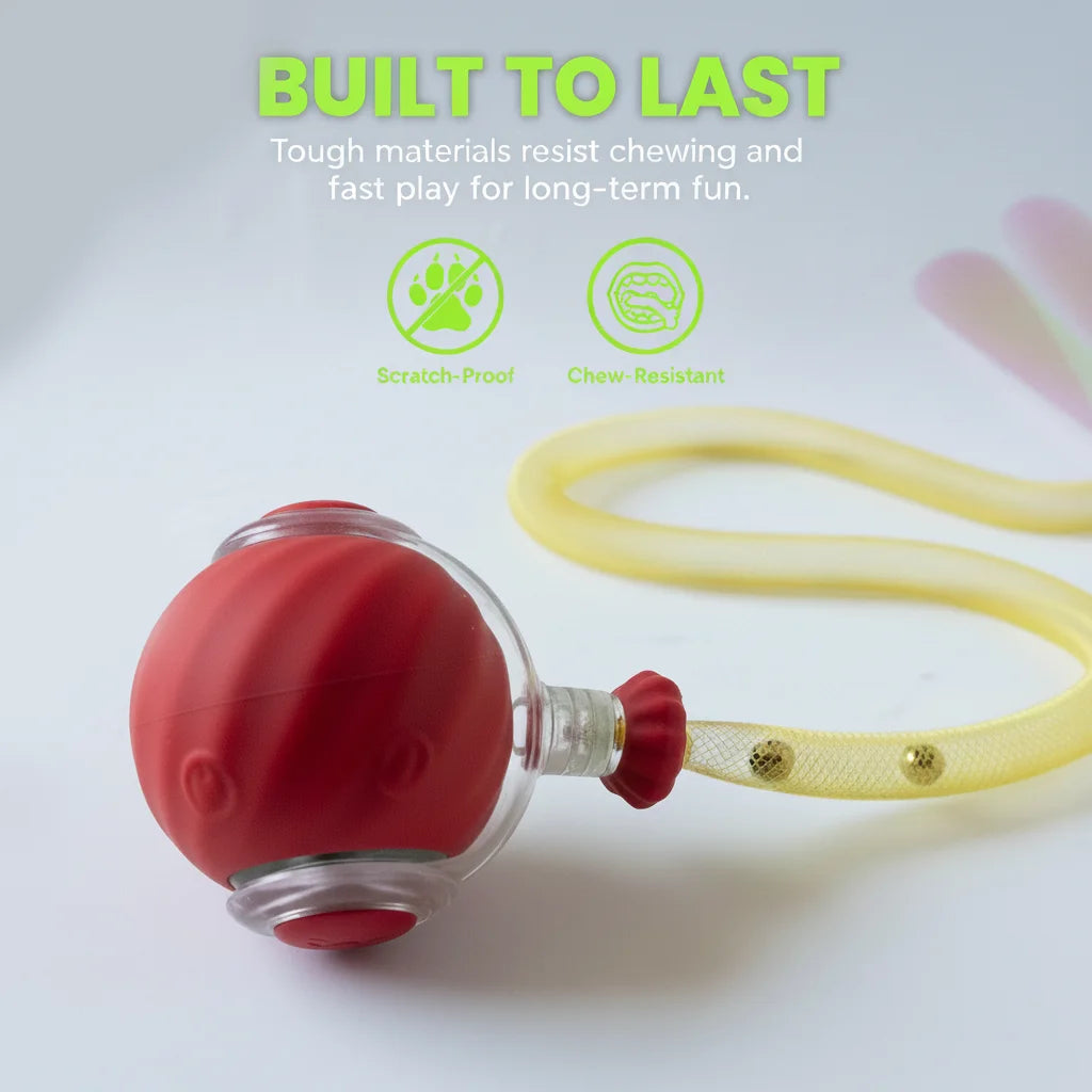 Umadeus Interactive Cat Ball Toy with Tail for Indoor Cats Kittens – 2026 - Automatic Smart Rolling Motion Pet Exercise for Small Dogs | Rechargeable Motion-Activated, USB Charging Self-Play (RED)